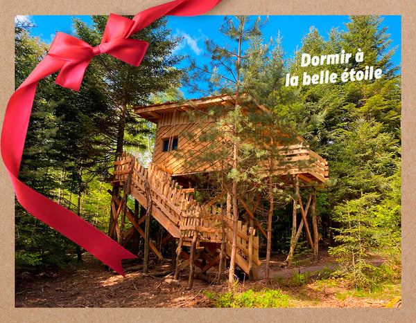 Bon cadeau - Cabane Galilée